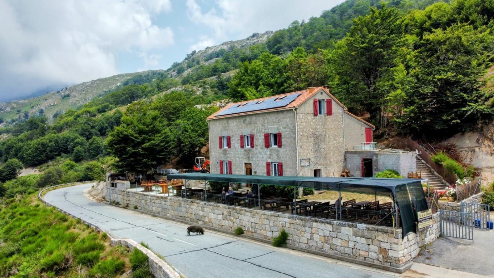 Ferme Du Col De La Vaccia Gasthof Olivese